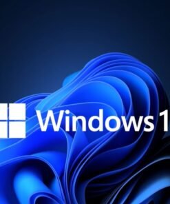 Microsoft Windows 11 Pro