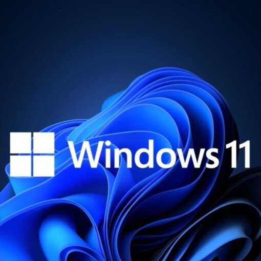 Microsoft Windows 11 Pro