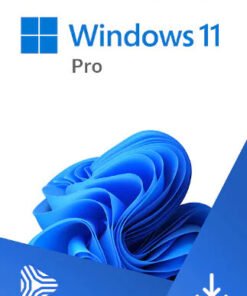 Microsoft Windows 11 Pro