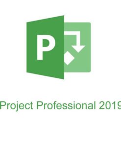 Microsoft Project 2019 Professional