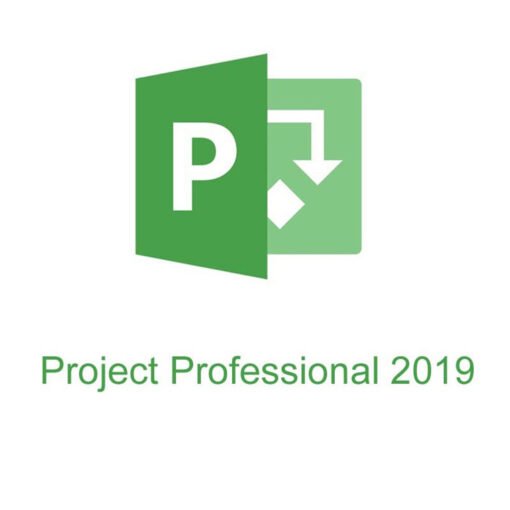 Microsoft Project 2019 Professional